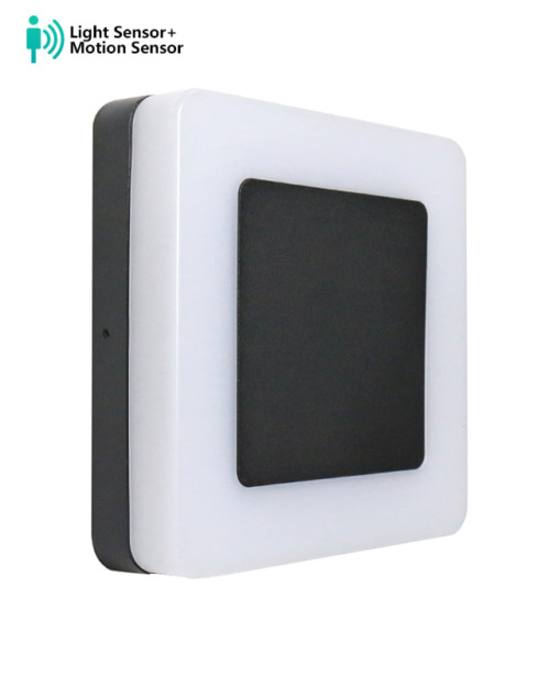 motion sensor outdoor wall light (1)